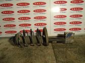 Amortiguador delantero con muelle espiral