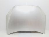Motorhaube