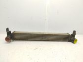 Radiador intercooler