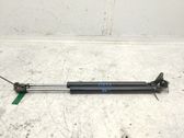 Tailgate/trunk strut/damper