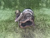 Turbo