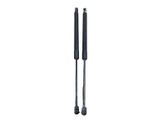 Tailgate/trunk strut/damper