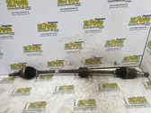 Drive shaft (set)