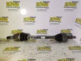 Drive shaft (set)