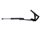 Front bonnet/hood damper/strut