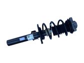 Front shock absorber/damper