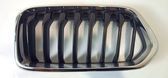 Front bumper upper radiator grill