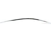 Front door glass trim molding