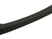 Other rear door trim element