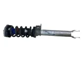 Front shock absorber with coil spring