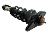 Rear shock absorber with coil spring