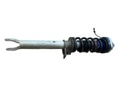 Stoßdämpfer Federbein
