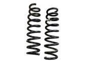 Rear coil spring