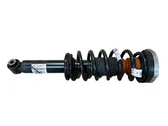 Rear shock absorber/damper