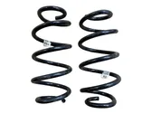 Rear coil spring