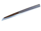 Front door trim (molding)