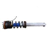 Rear shock absorber with coil spring