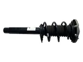 Front shock absorber with coil spring