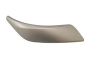Front door trim (molding)