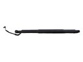 Tailgate/trunk strut/damper