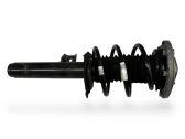 Front shock absorber with coil spring