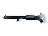 Rear shock absorber/damper