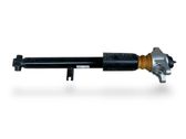 Rear shock absorber/damper