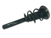 Amortiguador delantero con muelle espiral