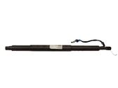 Tailgate/trunk strut/damper