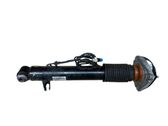 Rear shock absorber/damper
