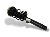 Front shock absorber with coil spring