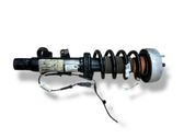 Front shock absorber with coil spring