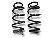 Rear coil spring