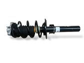 Front shock absorber with coil spring