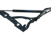 Tailgate/trunk/boot hinge