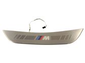 Front sill trim cover