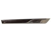Front door trim (molding)