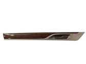 Front door trim (molding)