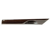 Rear door trim (molding)