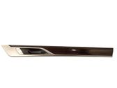 Front door trim (molding)