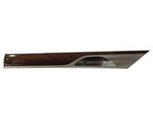 Rear door trim (molding)