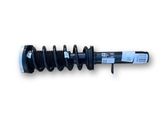 Front shock absorber with coil spring