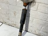 Stoßdämpfer hinten