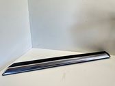 Front door trim (molding)