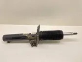 Front shock absorber with coil spring