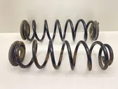 Rear coil spring