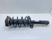 Front shock absorber with coil spring