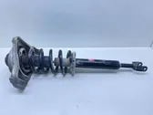 Front shock absorber with coil spring