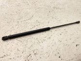 Front bonnet/hood damper/strut