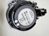 Front door high frequency speaker